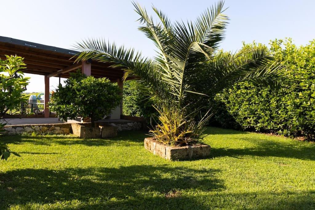 Casale Toscano Piscina Wi-Fi Capannori Zewnętrze zdjęcie